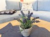 Billede 12