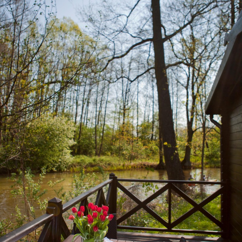 Sommerhus - 4 personer -  - Schloßbezirk - 03222 - Lübbenau/Spreewald
