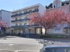 Billede 28 - Ude