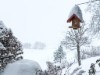 Bild 9 - Inde