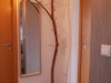 Bilde 6