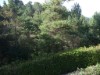 Image 30 - Outside