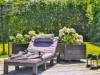 Billede 30 - Terrasse