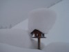 Bild 41
