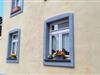 Bilde 4