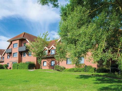 Ferieleilighet - 6 personer -  - An der Aue - 23747 - Dahme