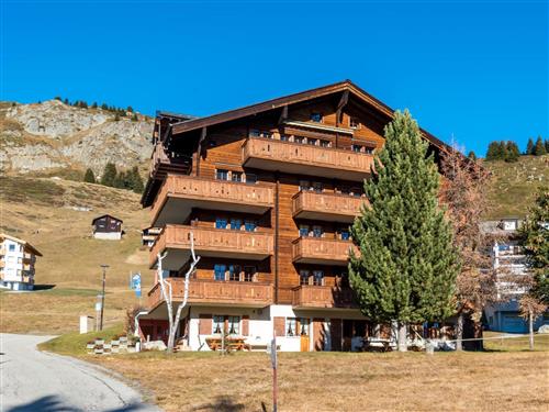 Holiday apartment - 4 persons -  - Riederalp - 3987