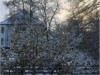 Bilde 6