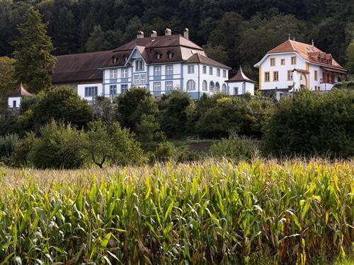 Holiday apartment - 2 persons -  - Impasse du Château - 1524 - Marnand