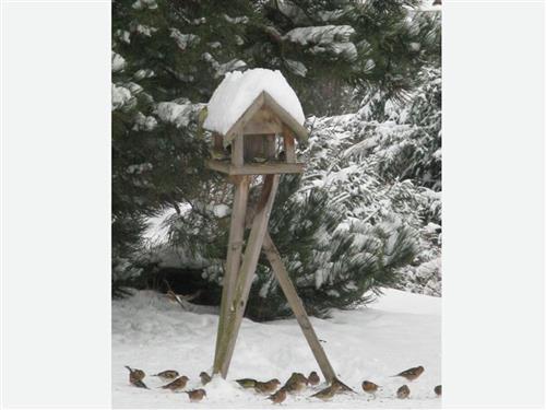 Ferieleilighet - 5 personer -  - Hochkreuzstraße - 5310 - Mondsee