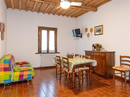 Ferieleilighet - 4 personer -  - Cecina - 57023