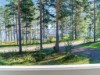 Bild 17 - Inde