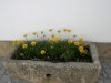 Bild 22