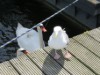 Bild 18