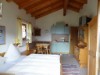 Bilde 5