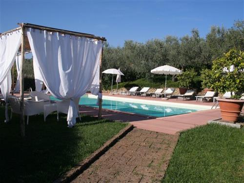 Sommerhus - 4 personer -  - Castelfalfi - 51035