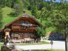 Bild 15