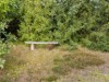 Bilde 31