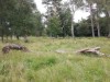 Bild 21