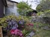 Image 29 - Outside