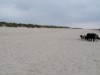 Bild 17