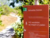 Bild 34
