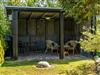 Bild 22 - Terrass