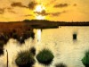 Bilde 29