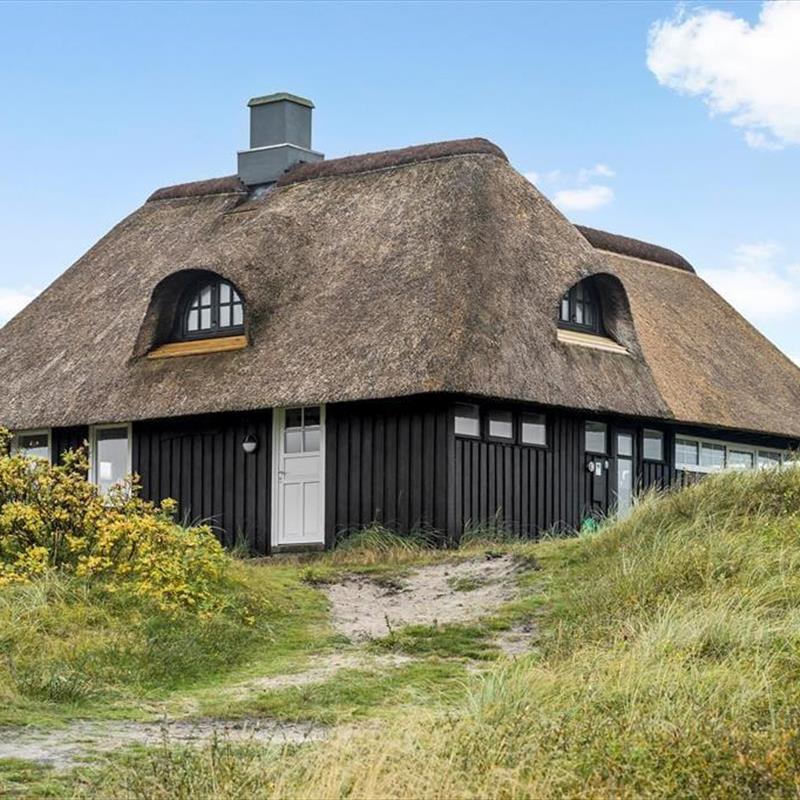 Ferienhaus - 4 Personen -  - Tornbjerrevej - Haurvig - 6960 - Hvide Sande