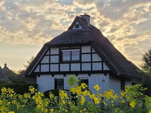 Ferienhaus - 4 Personen -  - 18556 - Dranske