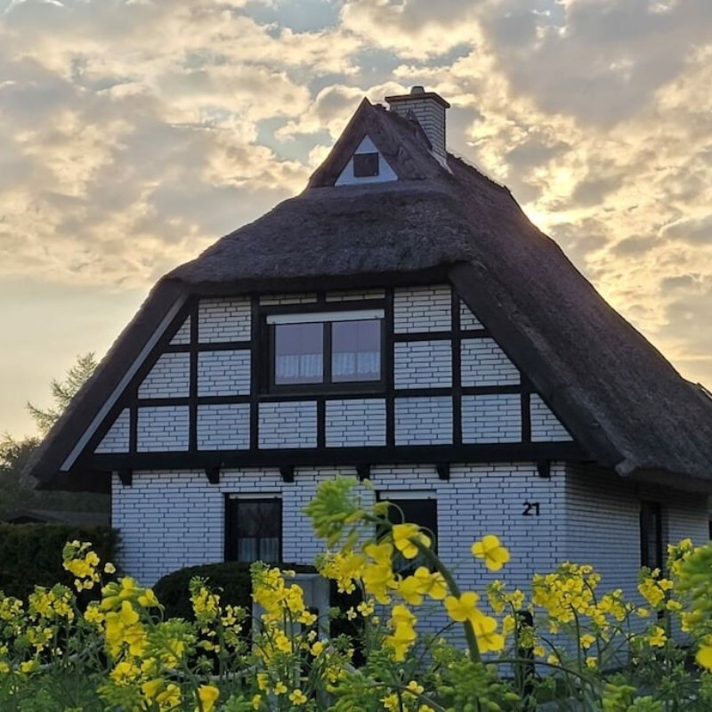 Sommerhus - 4 personer -  - 18556 - Dranske