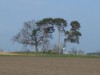 Bild 18