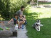 Bild 17