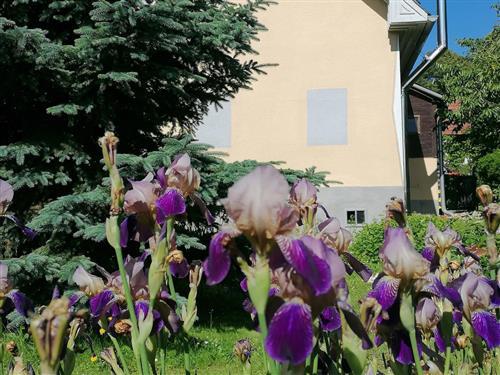 Ferienhaus - 4 Personen -  - Bad Blumau - 8283 - Bad Blumau