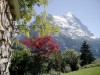 Bilde 22 - Ude