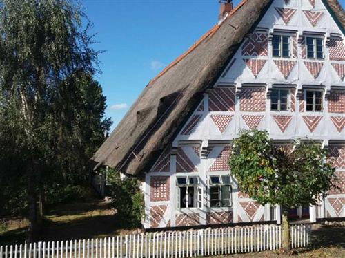 Ferielejlighed - 6 personer -  - Guderhandviertel - 21720 - Guderhandviertel