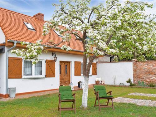 Ferienhaus - 6 Personen -  - Wiejska - 72-022 - Nowe Warpno