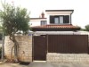 Bilde 3