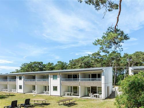 Holiday apartment - 2 persons -  - Sirenevej 2 st, - Dueodde - 3730 - Nexø