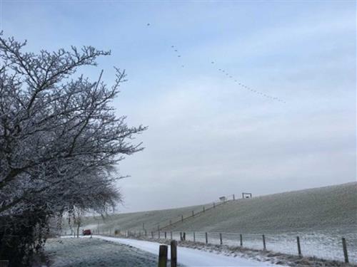 Ferielejlighed - 4 personer -  - Kirchring - 26844 - Jemgum