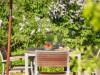 Billede 17 - Terrasse