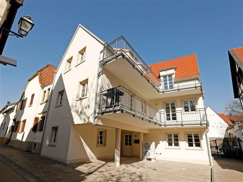 Ferielejlighed - 4 personer -  - Korngasse - 67251 - Freinsheim