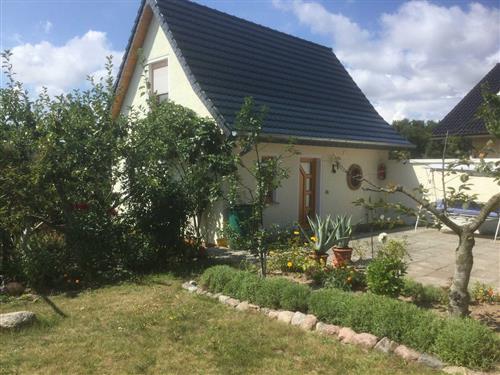 Ferieleilighet - 8 personer -  - Am Gothensee - 17424 - Heringsdorf (Seebad)