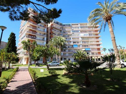 Sommerhus - 6 personer -  - 03540 - Alicante / Alacant