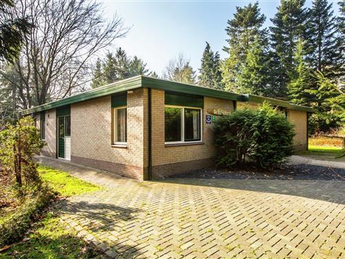 Feriehus - 20 personer -  - 8346KB - De Bult