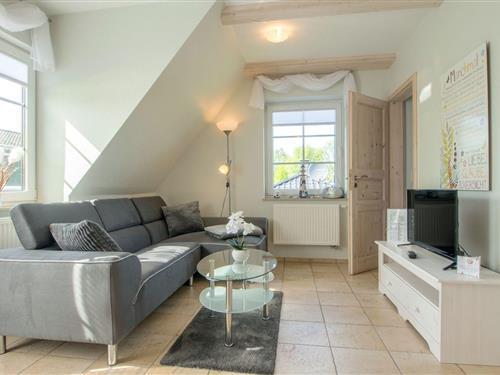 Holiday apartment - 2 persons -  - Schulstrasse - 18374 - Zingst (Ostseeheilbad)