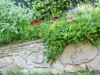 Bild 36 - Aussen