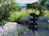 Bild 17