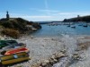 Bilde 29