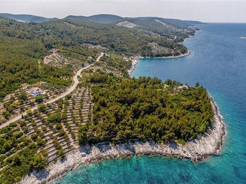 Ferienhaus - 10 Personen -  - Zukova - Korcula-Blato - 20271 - Blato